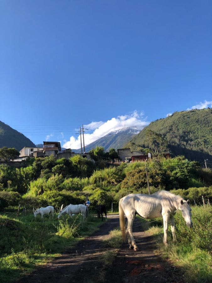 Premium Holiday Cabin - Spectacular Tungurahua Volcano View Baños Eksteriør bilde